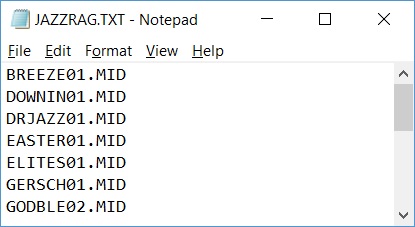 SD - TXT File